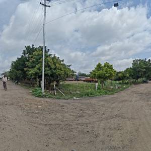 vrksa_sanvardhana_1_original