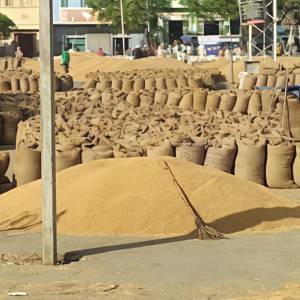 bhusar_main_2_original