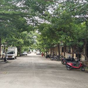 bhusara_marketa_original