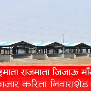 Janavar_Bajar_Barshi_original