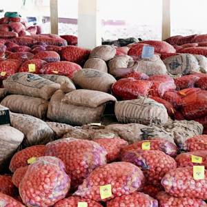 onion_main_market_2_original