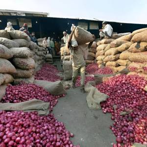 onion_main_market_original