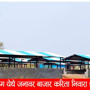 vairag_cattle_shed_original